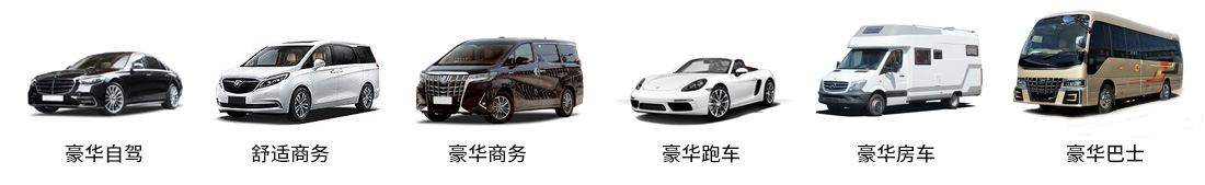 租车类型
